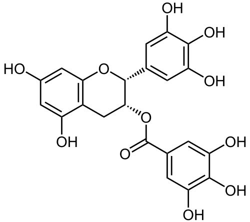 Gallate d'épigallocatéchine